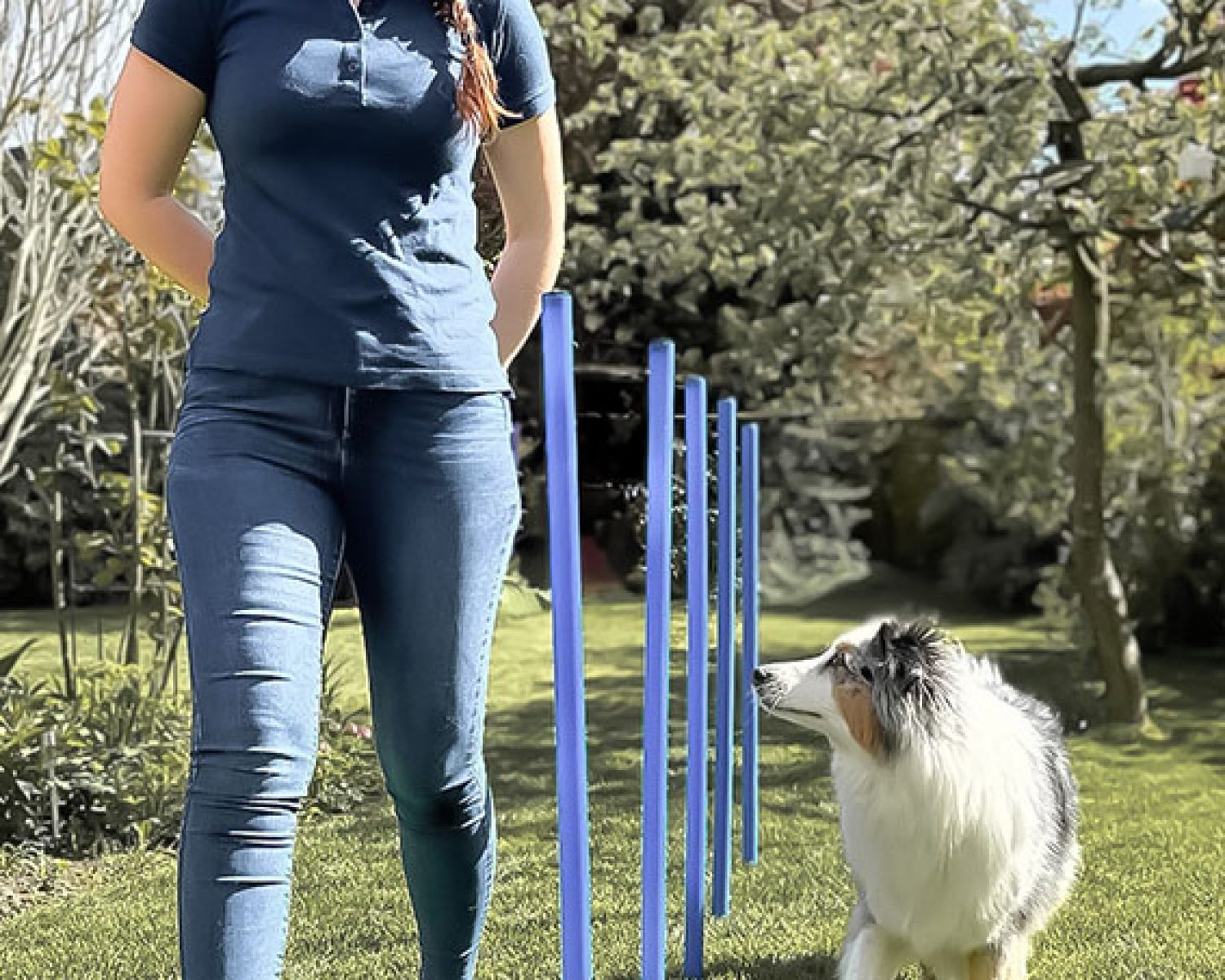 Aktive Mobilisation der Wirbel in Biegung -Tiertherapie in Hamburg Pferdephysiotherapie - Tierphysiotherapie, Tierosteopathie