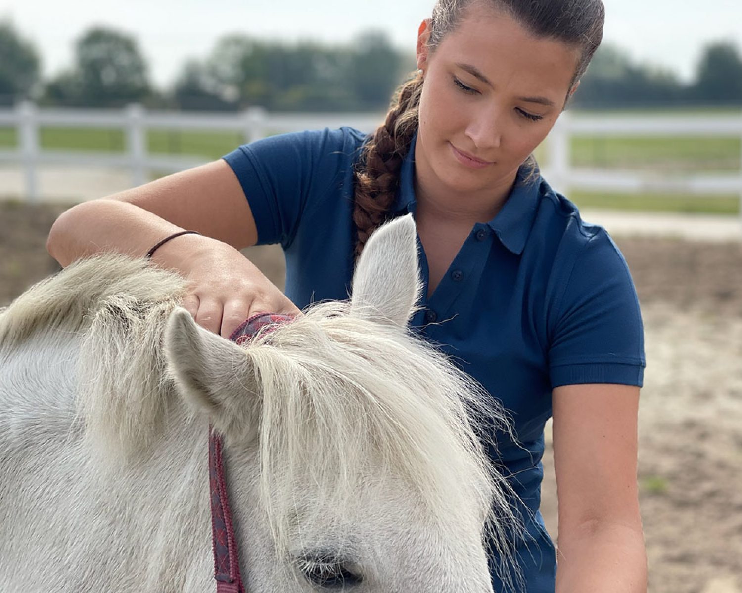 Osteopathisches Lösen des Zungenbeingürtels -Tiertherapie in Hamburg Pferdephysiotherapie - Tierphysiotherapie, Tierosteopathie