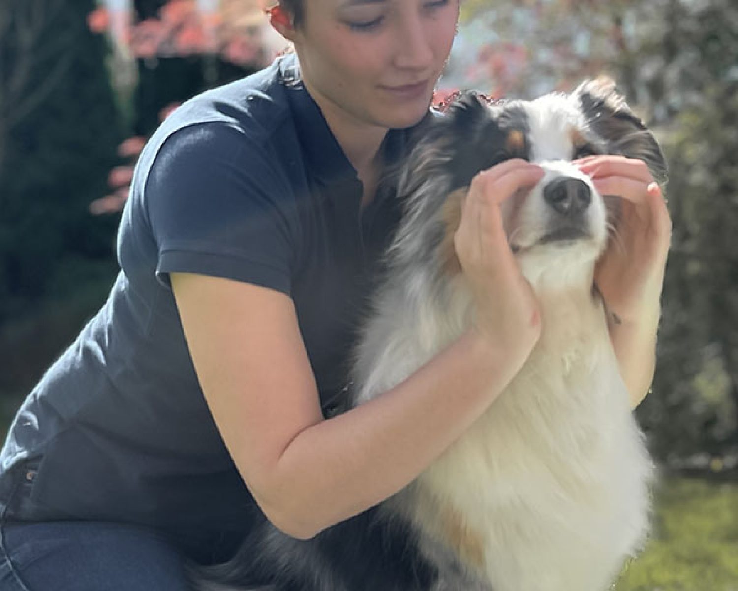Osteopathisches lösen der Sutura Nasalis -Tiertherapie in Hamburg Pferdephysiotherapie - Tierphysiotherapie, Tierosteopathie