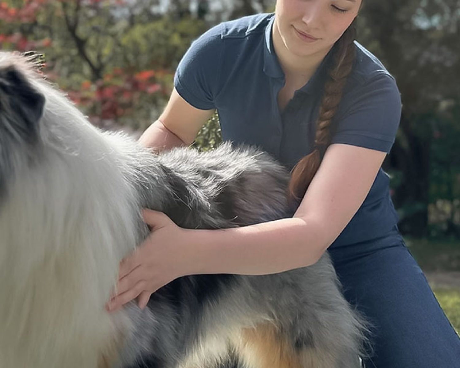 Isometrische Spannungsübungen -Tiertherapie in Hamburg Pferdephysiotherapie - Tierphysiotherapie, Tierosteopathie